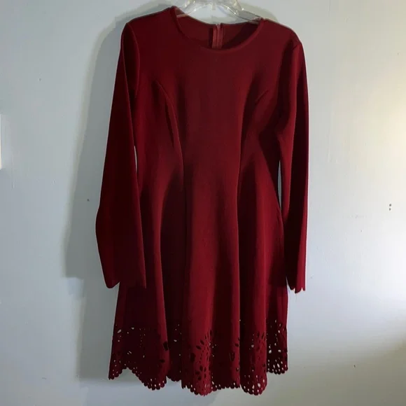 amazon plus size burgundy dress Ivy Mini Dress - Burgundy